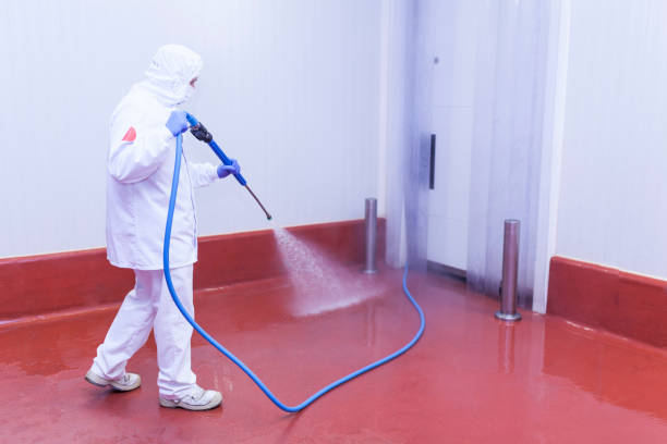 Spring Cleaning in Ridge Manor, FL