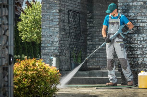 Best Solar Panel Cleaning  in Ridge Manor, FL